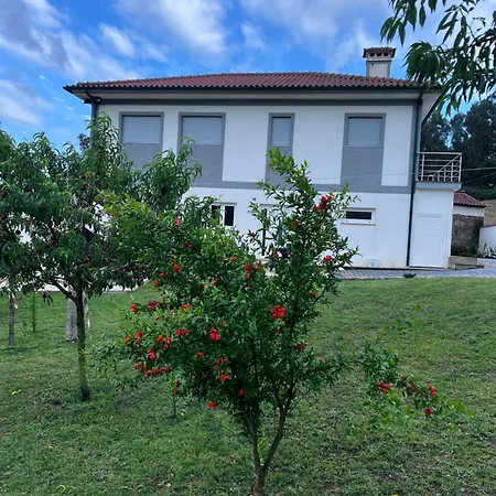 בית אירוח Casa Alexandre 9